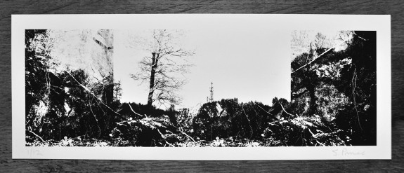 Artifact #1/52: Transference and Transmissions Print from A Year In The Country