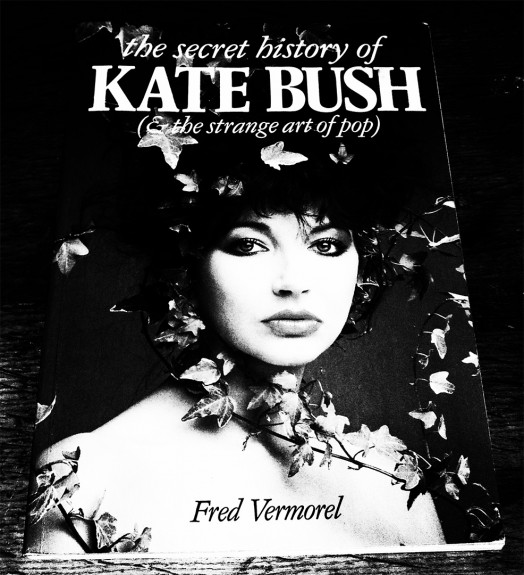 Kate Bush-The Secret History Of-Fred Vermorel-A Year In The Country