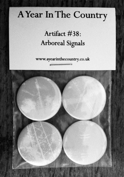 Artifact 38-badge pack-A Year In The Country