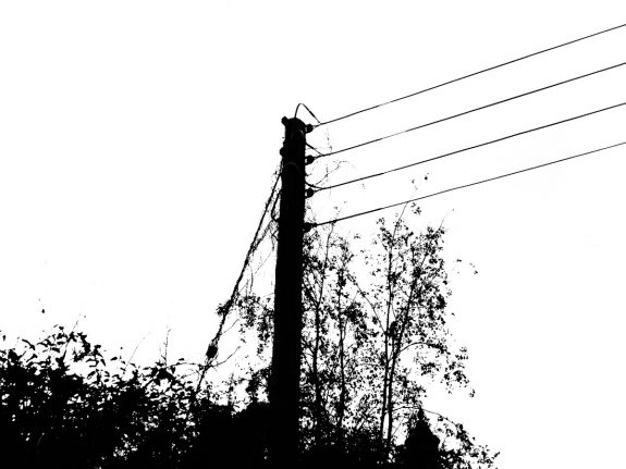 Telegraph Poles and Electric Pylons-A Year In The Country-4