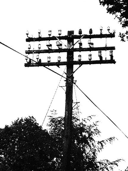 The Telegraph Pole Appreciation Society-A Year In The Country-2