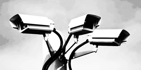 CCTV-surveillance cameras-1-A Year In The Country