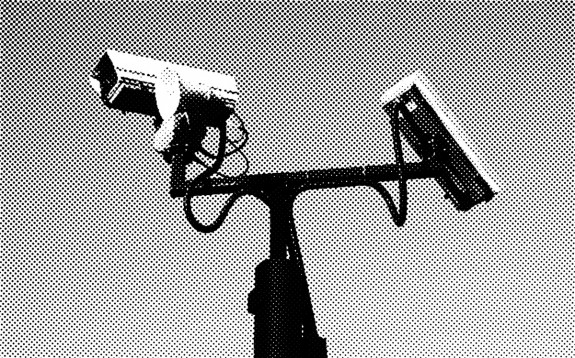 CCTV-surveillance cameras-5-A Year In The Country