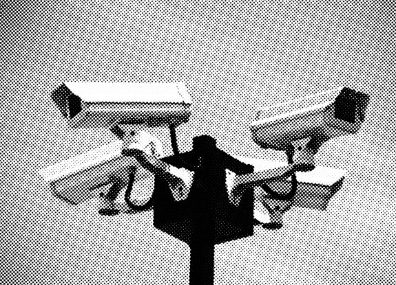 CCTV-surveillance cameras-7-A Year In The Country