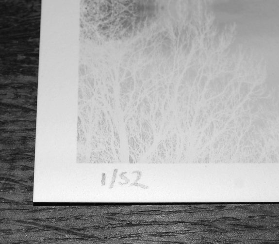 Artifact 50-Greenwood Threshold archival print-numbering-A Year In The Country