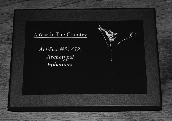 Artifact 51-Archetypal Ephemera box-A Year In The Country