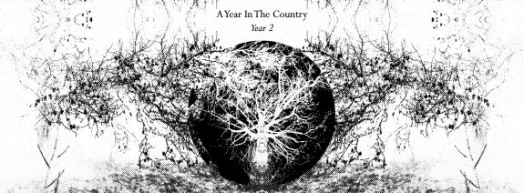 A Year In The Country-Year 2