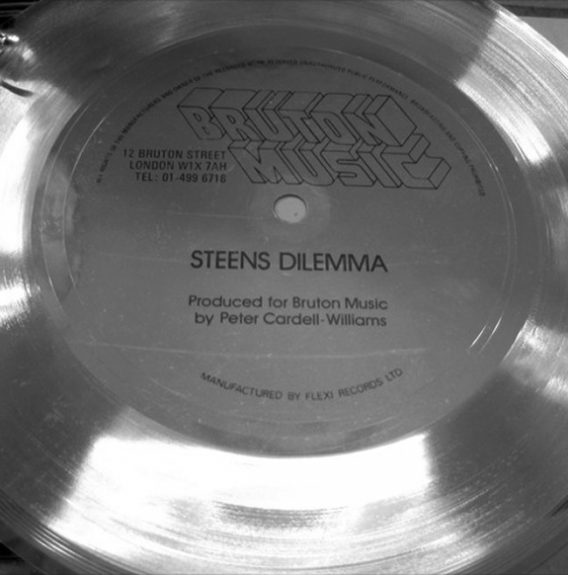 Bruton Music Flexi-Steens Dilemma-via James Cargill