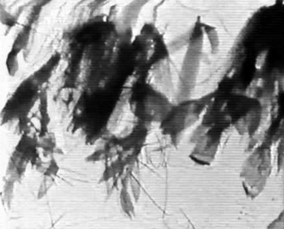 Stan Brakhage-Mothlight-1963-3b