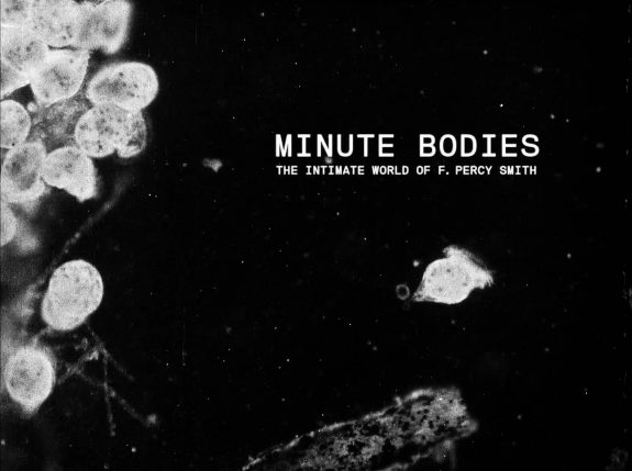 Minute Bodies-The intimate world of F Percy Smith-Stuart Staples BFI-1
