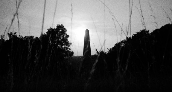 The Ballad Of Shirley Collins-6