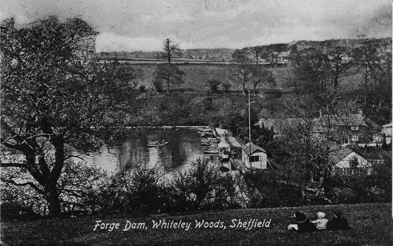 Forge Dam-Sheffield-Pulp-The Wicker Man-1