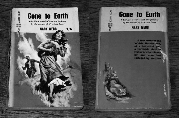 Gone To Earth-Mary Webb-Four Square Books film cover-2