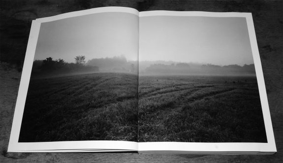The Meadow-Barbara Bosworth-Margot Anne Kelley-Radius Books-5
