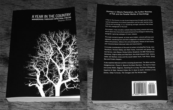 A-Year-In-The-Country-Wandering-Through-Spectral-Fields-book-Stephen-Prince-front-and back covers