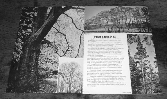 Plant a tree in 73-campaign-leaflet-bowaters guide to Britains most common trees-6