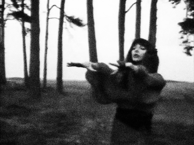 Kate bush wuthering heights. Кейт Буш Wuthering heights. Кейт Буш Грозовой перевал. Wuthering heights Kate.