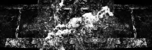 A Year In The Country artwork by Stephen Prince. Description: landscape experimental photography, collage artwork, photographic art, abstract photography, black and white photography, monochrome photography, hauntology, folk horror, tree photography, tree artwork, forests, wyrd artwork, spectral artwork, woods surreal photography, landscape art, nature photography, rural photography.